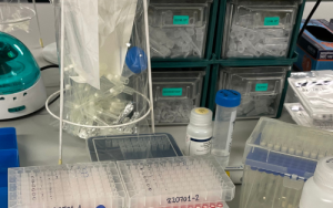 DNA test could help detect cervical cancer earlier