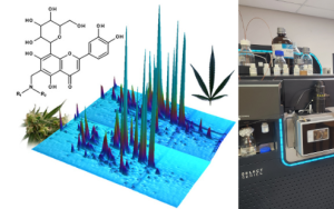 Hou daardie Cannabis-blare – hulle is vol seldsame verbindings