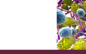 Microbes and their interactions the focus of major international meeting