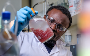 Researcher