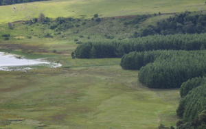 SA leads in nature conservation using huge corridors