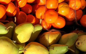 SA needs new strategy to boost agri-food exports to EU