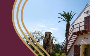 SACEMA shortlisted for NRF societal impact award