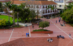 Strong crop of SU finalists to compete for 2025 NSTF/South32 Awards