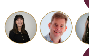 SU experts honoured by the Academy of Science of SA