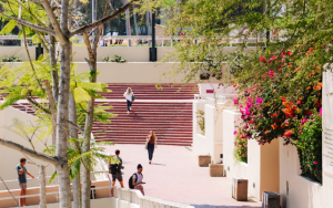 SU-UIC approves release of IEB’s international May 2024 examination results