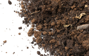 Tiny microbes called up in fight against climate change