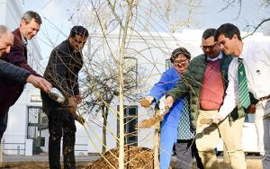 Tree planting ceremony symbolises new future for Wilgenhof