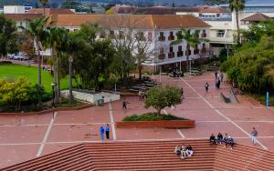 Stellenbosch University