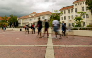 Wilgenhof: opdaterings