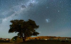 Under southern skies