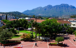 A view of the Stellenbosch campus photographed on a sunny day.