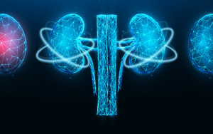A polygonal vector illustration of inflamed diseased kidney, healthy kidney, and recovery of kidney functions on a dark blue background.
