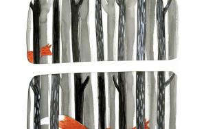 ba-hons-illustration-carousel1
