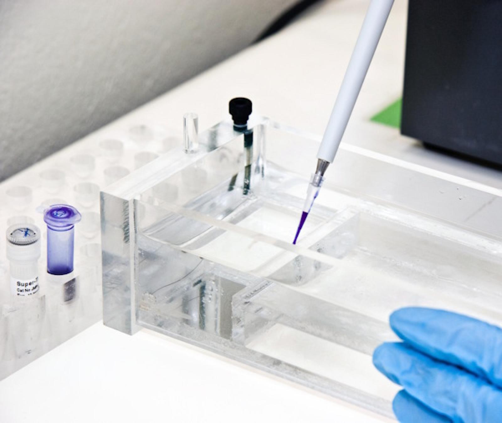 Department of Food Science | Stellenbosch University