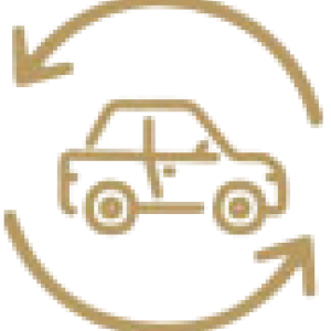 Sustainability-travel-icon