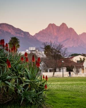Stellenbosch mountains