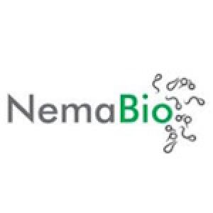 NemaBio1.jpg