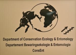 Ball and Scarab logo.jpg