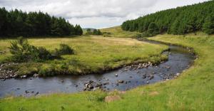 Contact us - Entomology