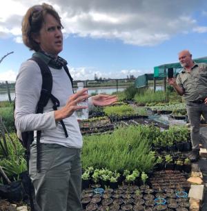 Fynbos restoration 3.jpg