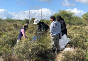 Fynbos restoration 7.jpg