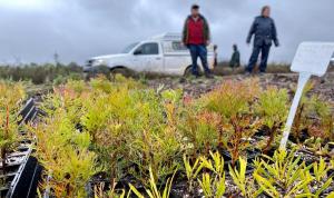 Vegetation Ecology and Management.jpg