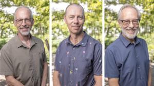 How do insects breathe.jpg