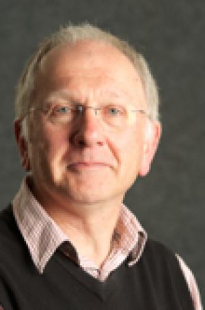 Emeritus Professor Dirk Bellstedt