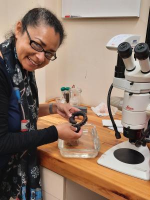 Professor Carol Simon