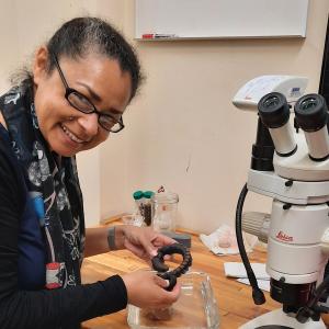 Prof. Carol Simon