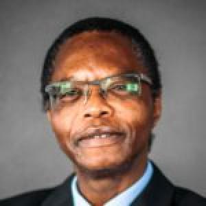 Prof Alphose Zingoni