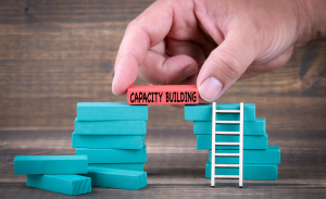 Capacity building concept with wooden blocks