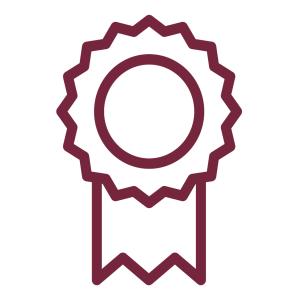 Values icons3