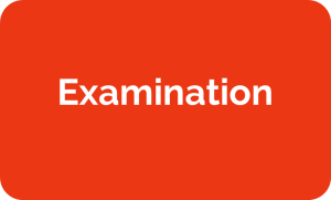 examination.png