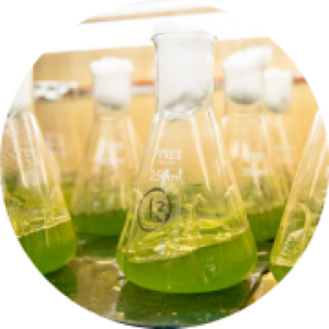 ChemEngineering