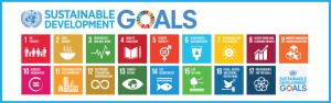 sdgs-logos-banner_orig.jpg
