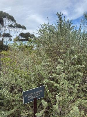Reimagining the wildlife economy through indigenous knowledge4.jpg
