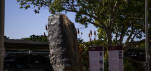 Clinical Building Rock