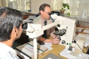 Strengthening health systems