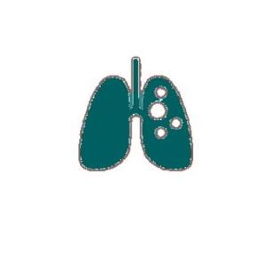 lungs icon