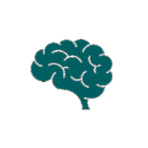 brain icon