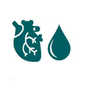 organs icon