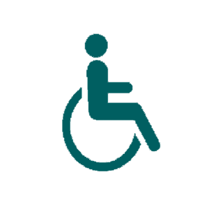 wheelchair icon