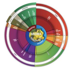 Sensory Science and Sensometrics