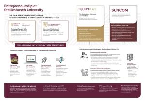 Entrepreneurship-structures