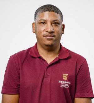 Willemse
