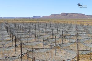 We are involved in the US-SA collaboration project “Hydrogen Epoch Reionization Array” (HERA) which measures the high-redshift 21-cm signal with radio interferometry technique.