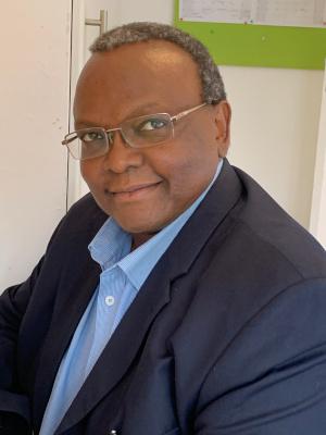 Professor Tim Murithi