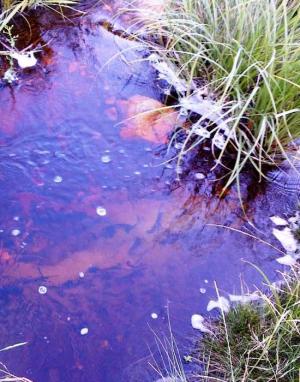 Soil Hydrology